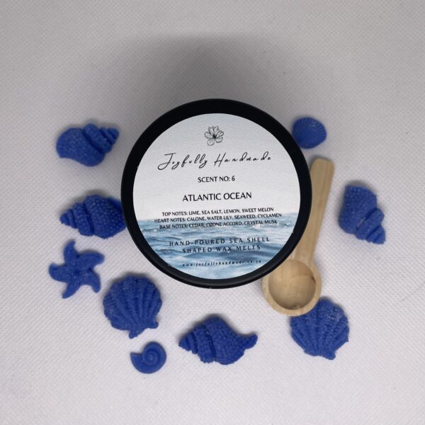 Scent No6: Atlantic Ocean Tin Melts - Image 2