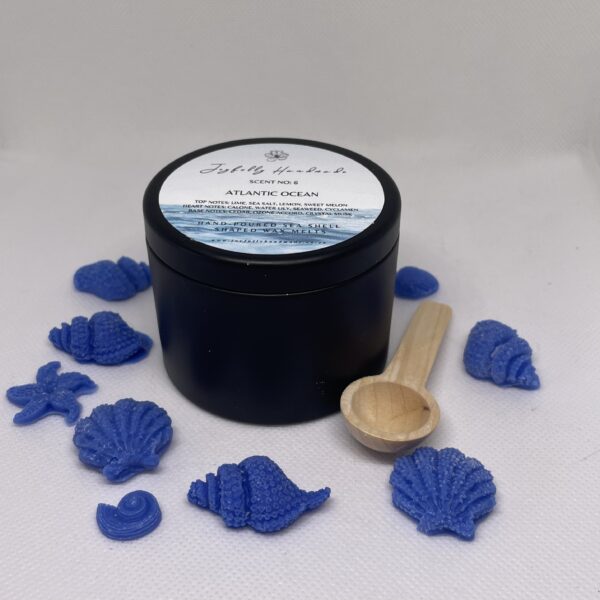 Scent No6: Atlantic Ocean Tin Melts